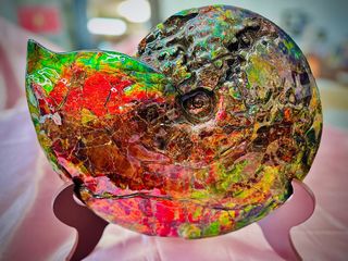 （分類：）位於 。 由 ammolitelover 提交（商品編號 1243524459，圖片 1）。簡介： 。