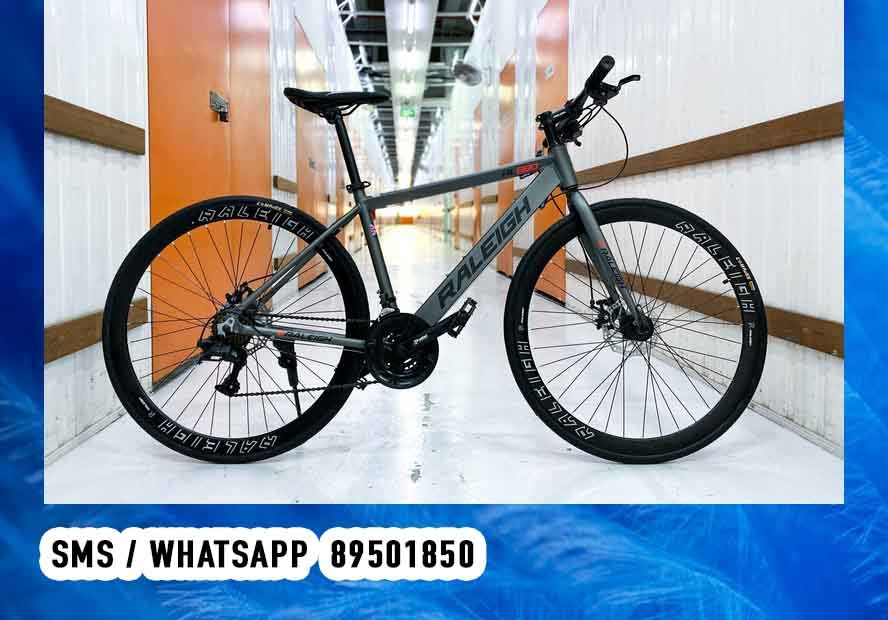 24 Speed Raleigh RL880 Hybrid bike Road Bicycle Racing Bike