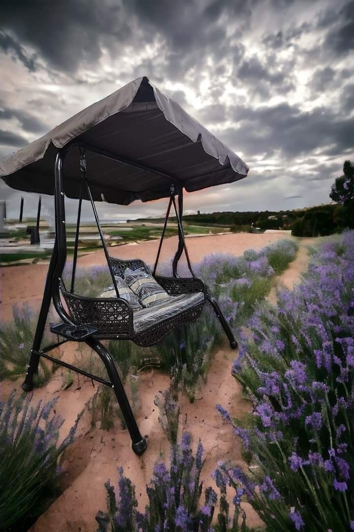 Two seater hanging swing deals