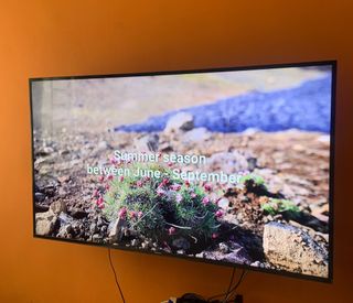 (Category: ) located in . Submitted by alexbasa3871 (Listing ID 1252294293, Image 1). Description: .