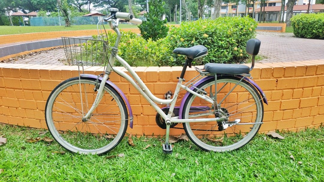 Raleigh venture 1.0 2025
