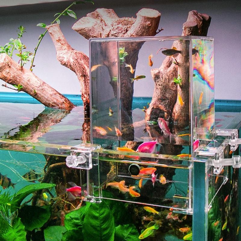 Above Water Fish Tank Acrylic Inverted Aquarium Tank Decoration Home Decor Negative Pressure Increase Fish Carousell