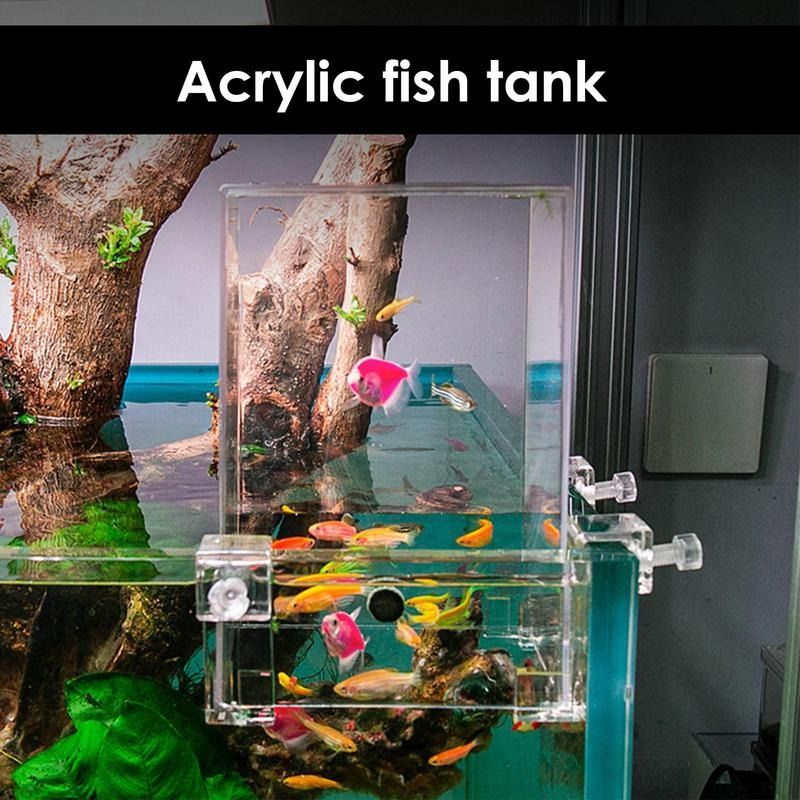 Above Water Fish Tank Acrylic Inverted Aquarium Tank Decoration Home Decor Negative Pressure Increase Fish Carousell
