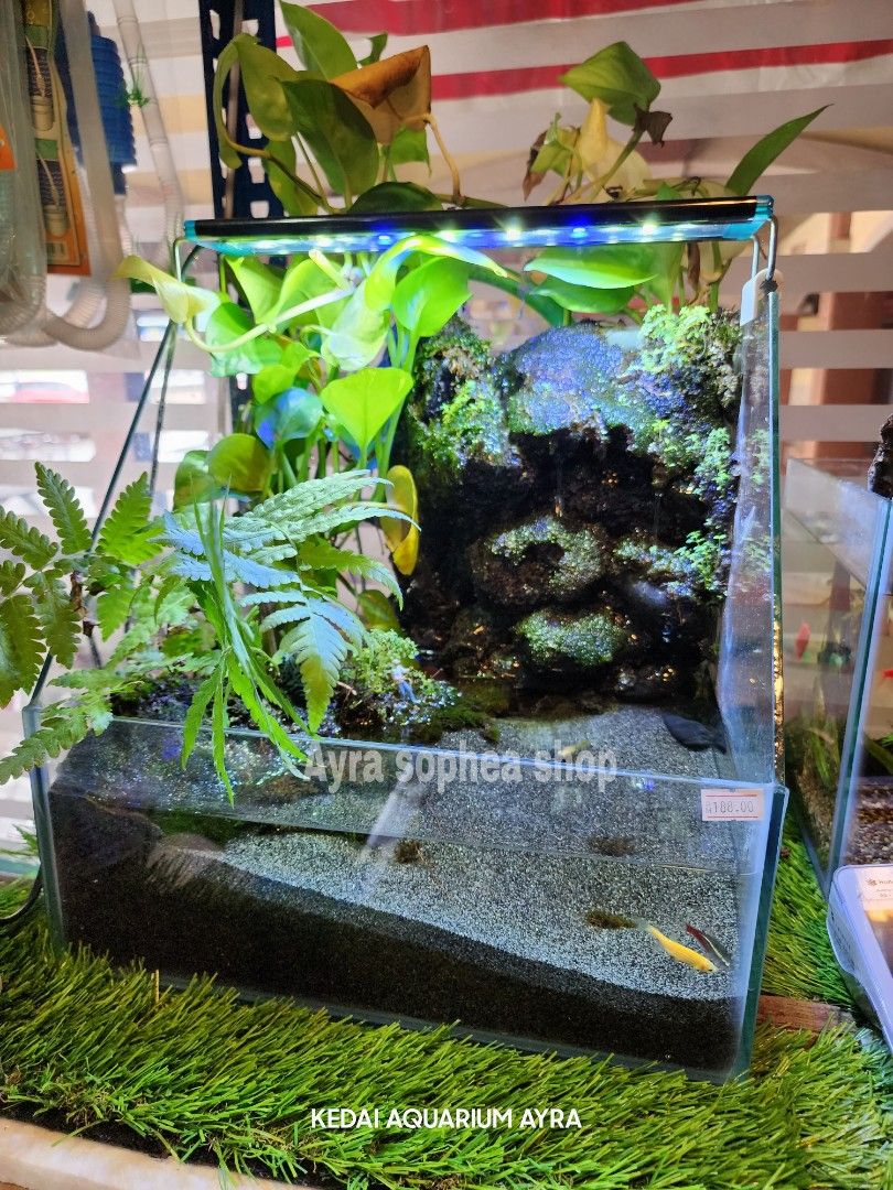 Aquarium Paludarium Full Set Pet Supplies Homes Other Pet