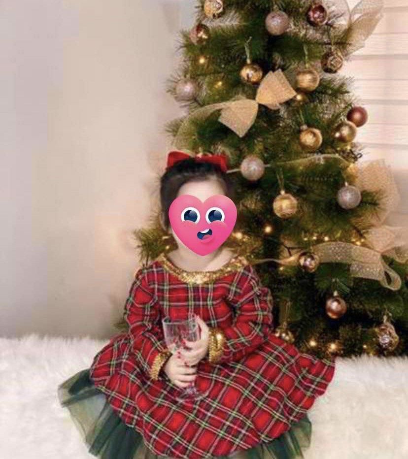 3t clearance christmas dress