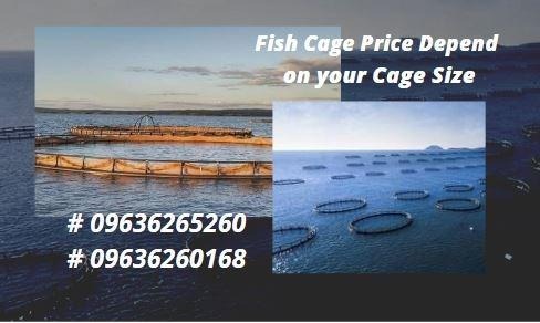 FISH+CAGES - View all FISH+CAGES ads in Carousell Philippines