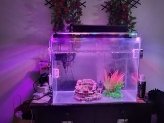 (Category: ) located in . Submitted by _myforte_ (Listing ID 1252246635, Image 1). Description: .