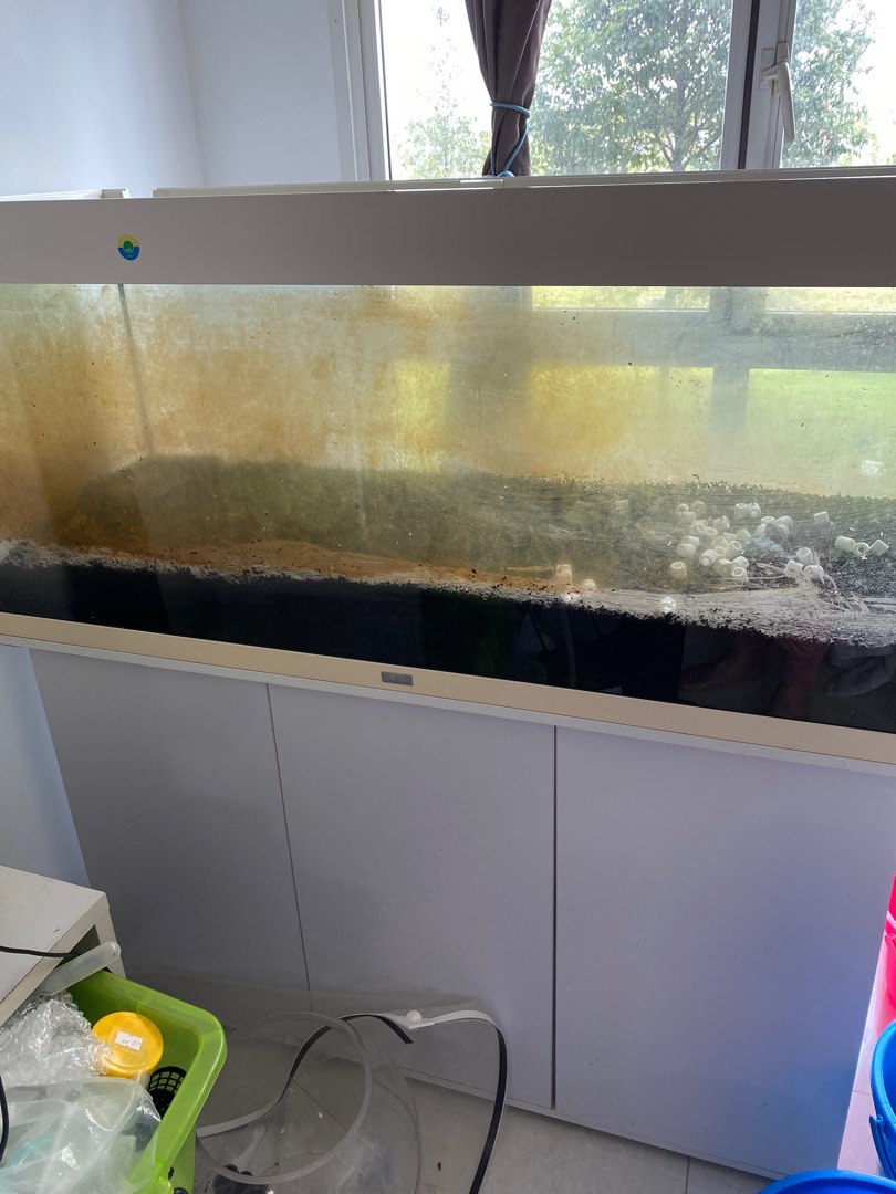 90 Gallons Fish Tanks And Aquariums 