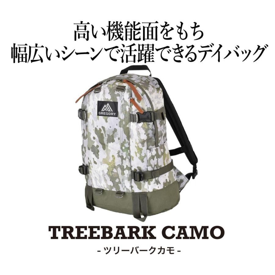 GREGORY 日系旅遊背包ALL DAY V2.1 (24L) - 絕版樹皮迷彩Treebark Camo