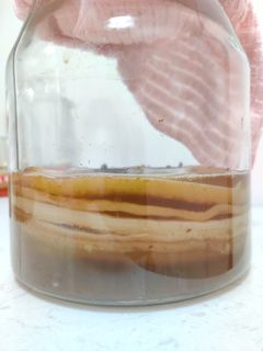 （分類：）位於 。 由 nobleseller 提交（商品編號 1252308266，圖片 1）。簡介： 。