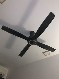 (Category: ) located in . Submitted by joshua516 (Listing ID 1252355519, Image 1). Description: .