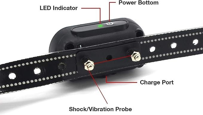 Pumila 818 Remote Dog Training Collar Extra Receiver Pet Supplies