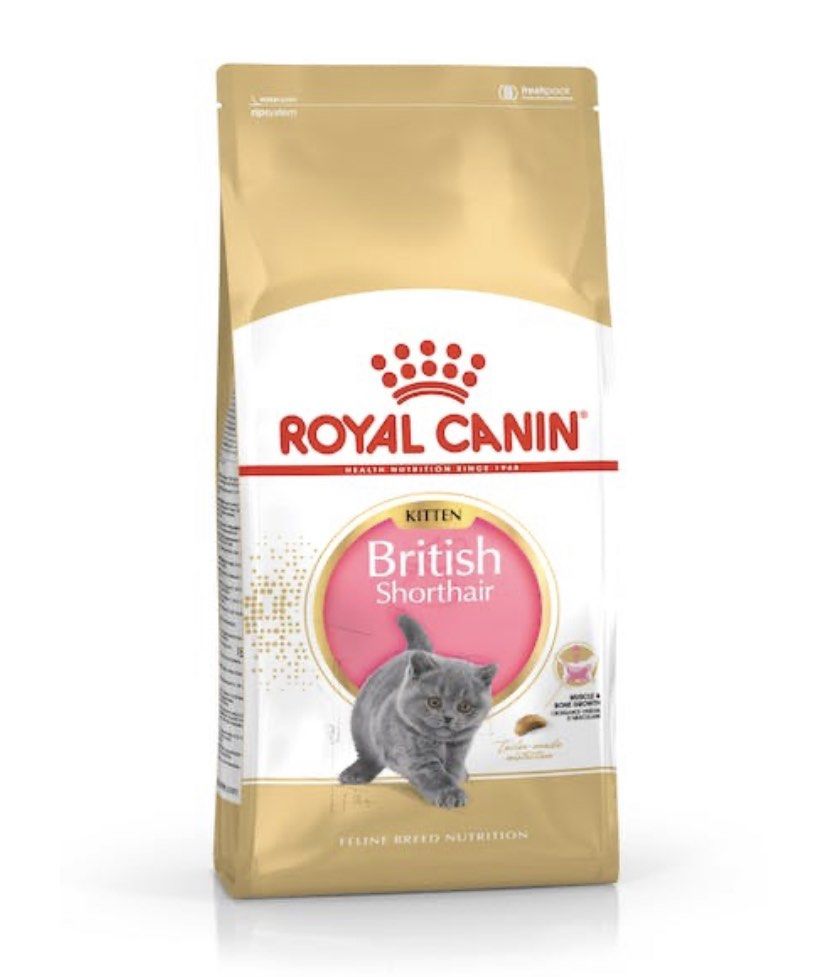 Royal Canin BSH Kitten, Pet Supplies, Pet Food on Carousell