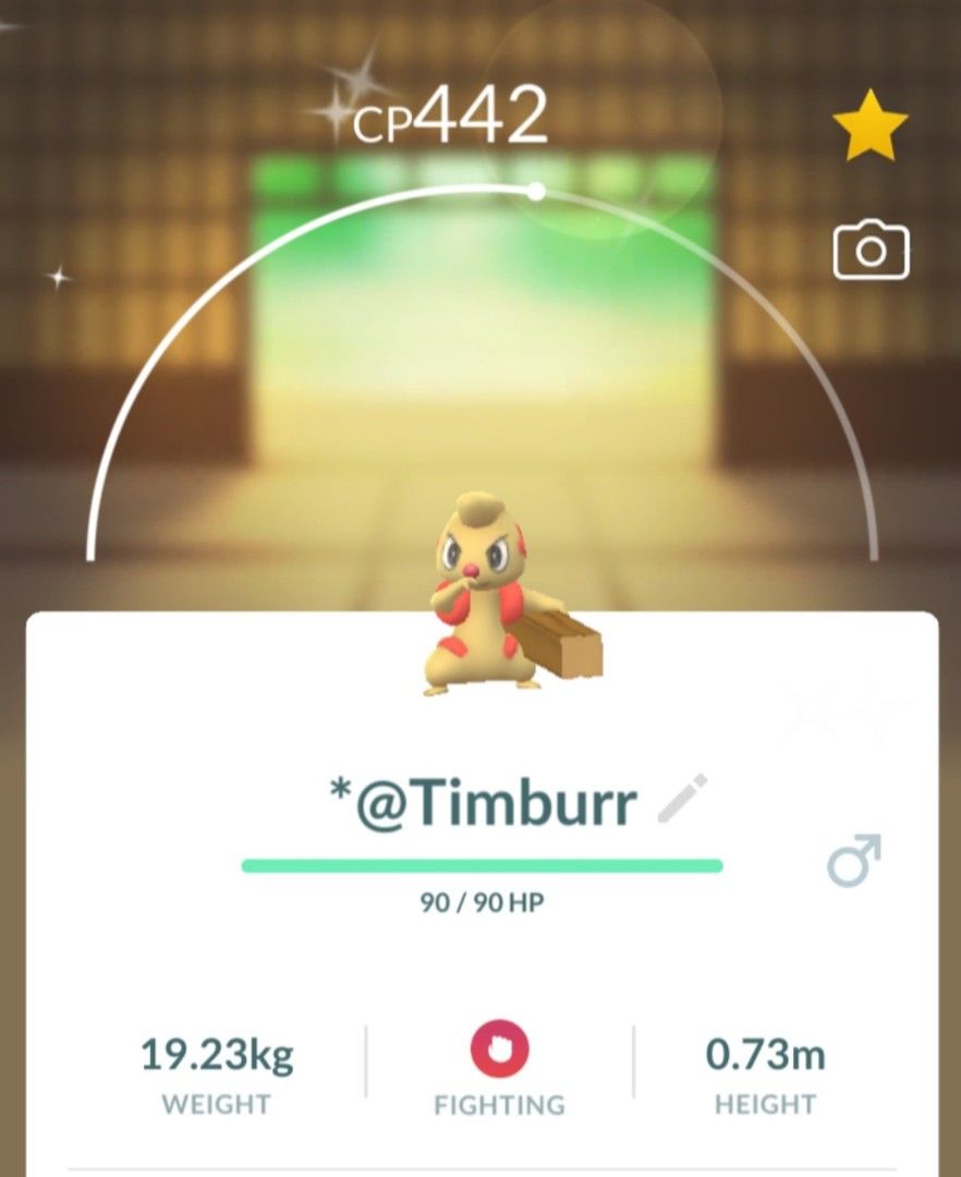 Shiny Timburr Pokemon Go, Video Gaming, Gaming Accessories, InGame