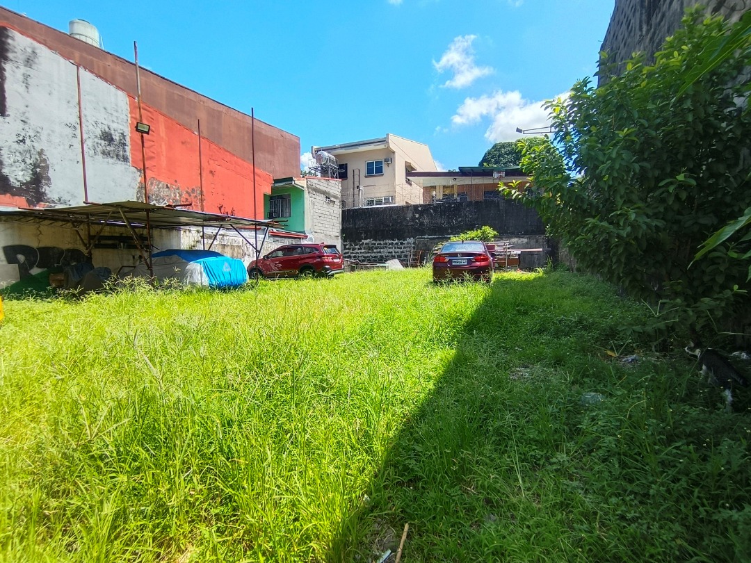 VACANT LOT FOR SALE IN SCOUT AREA QUEZON CITY, Property, For Sale, Lot