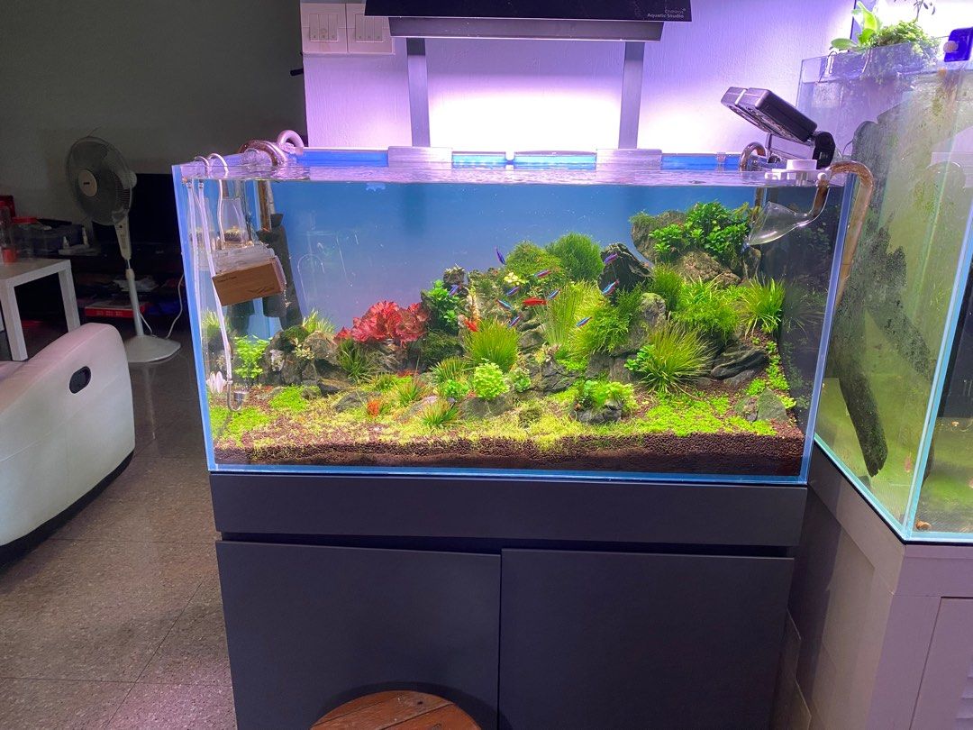 Eheim shop fish tanks