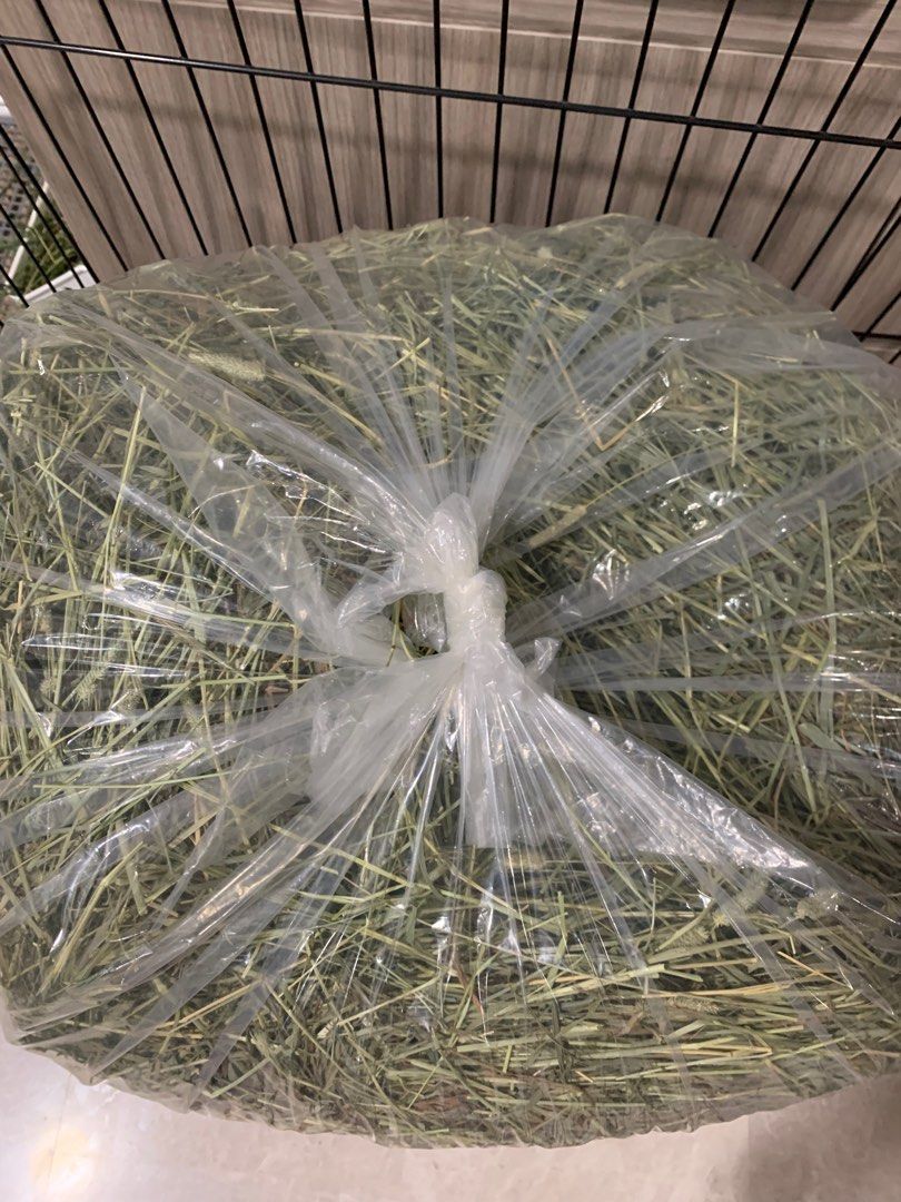 Apd Rabbit Hay Apd gold stalky hay, Pet Supplies, Pet Food on Carousell