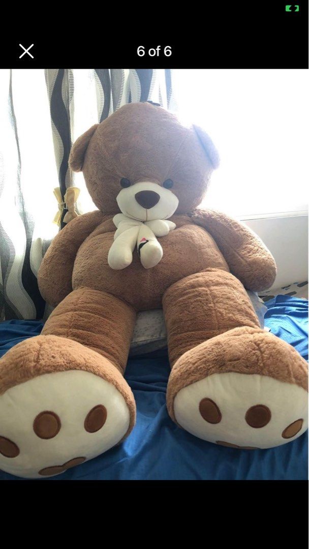 Teddy bear outlet lowest price