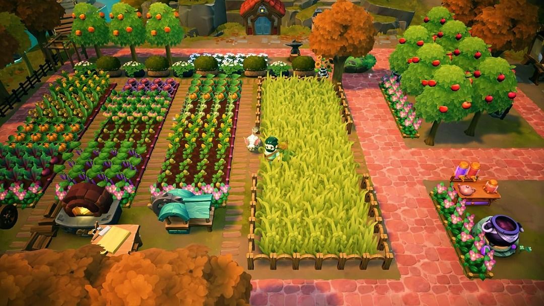 Fae Farm - Nintendo Switch, Video Gaming, Video Games, Nintendo on Carousell
