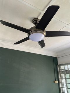 (Category: ) located in . Submitted by cnu257 (Listing ID 1254016110, Image 1). Description: .
