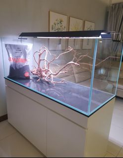 (Category: ) located in . Submitted by aquaticstore (Listing ID 1253898611, Image 1). Description: .
