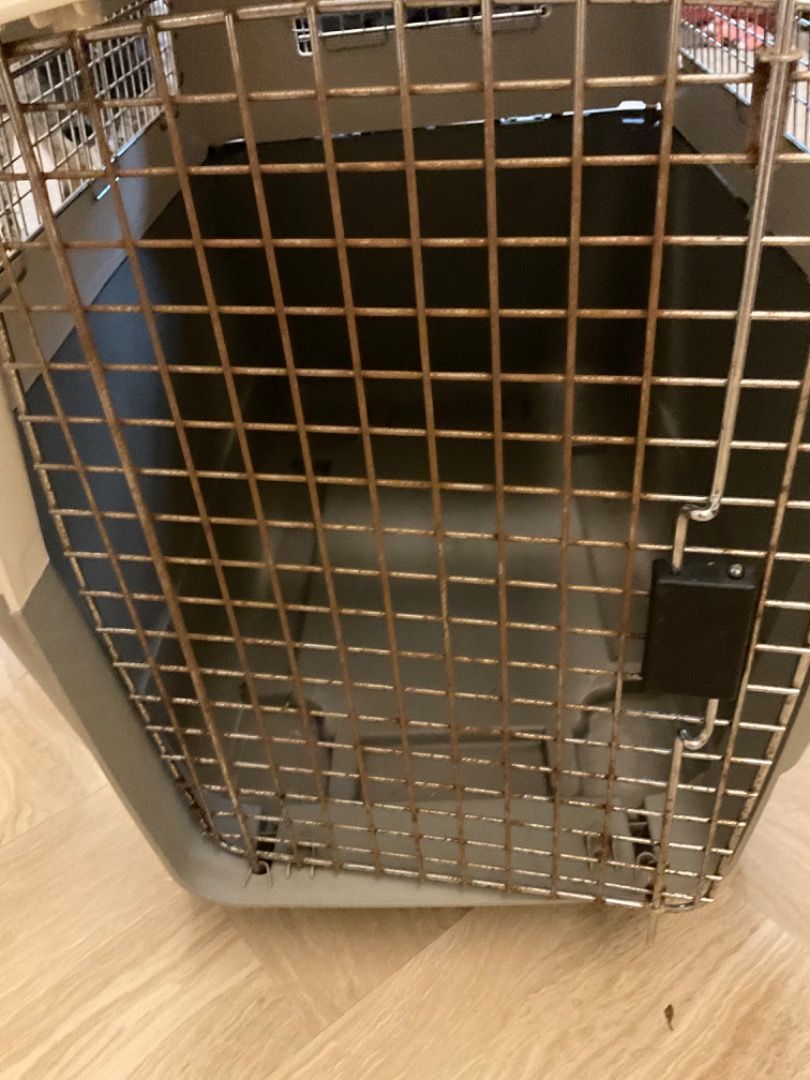 Rusty 2025 dog crate