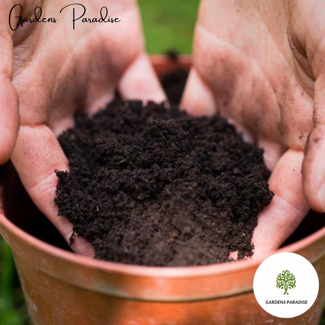 Garden Formula Ideal Potting Soil 7 litres (Approx. 2kg), Furniture