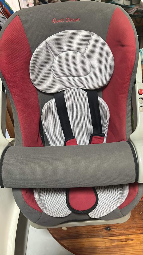 Giant Carrier Car Seat, Babies & Kids, Baby Nursery & Kids Furniture