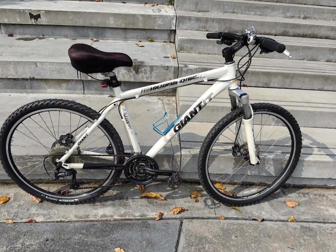 Giant iguana disc mountain bike sales