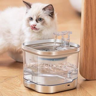 (Category: ) located in . Submitted by jimwucatstore (Listing ID 1254047690, Image 1). Description: .