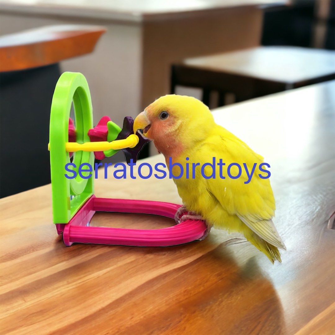 NEW) 鸚鵡鳥雀仔用品樂趣用品訓練道具獎勵解悶學說話互動平台解悶鸚鵡寵物雀仔站桿啃咬玩具玄鳳Cockatiel 愛情鳥lovebirds太平洋鸚鵡