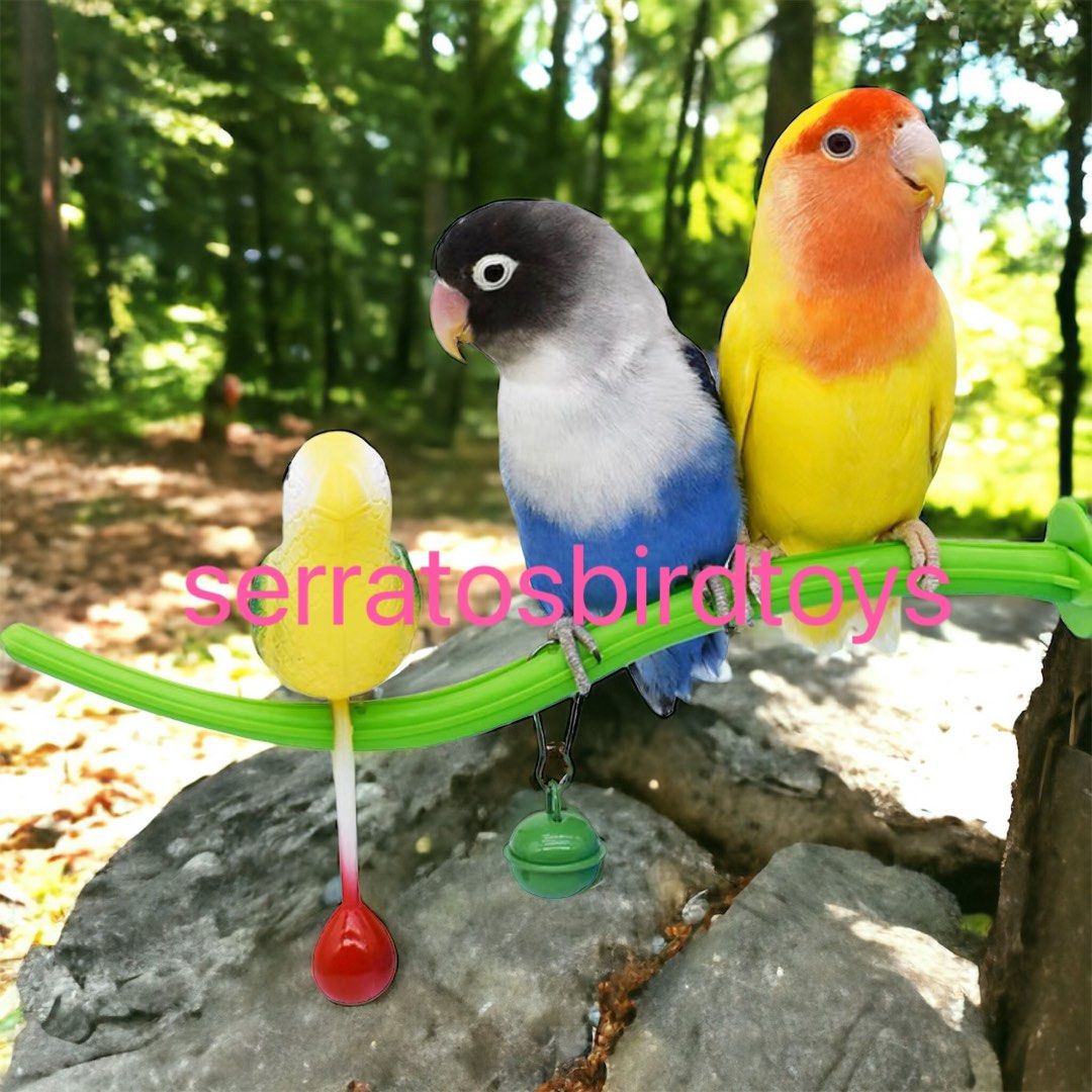 NEW) 鸚鵡鳥雀仔用品覓食樂趣用品訓練道具獎勵解悶學說話互動平台解悶鸚鵡寵物雀仔站桿啃咬的陪伴假鳥籠中鳥玩具