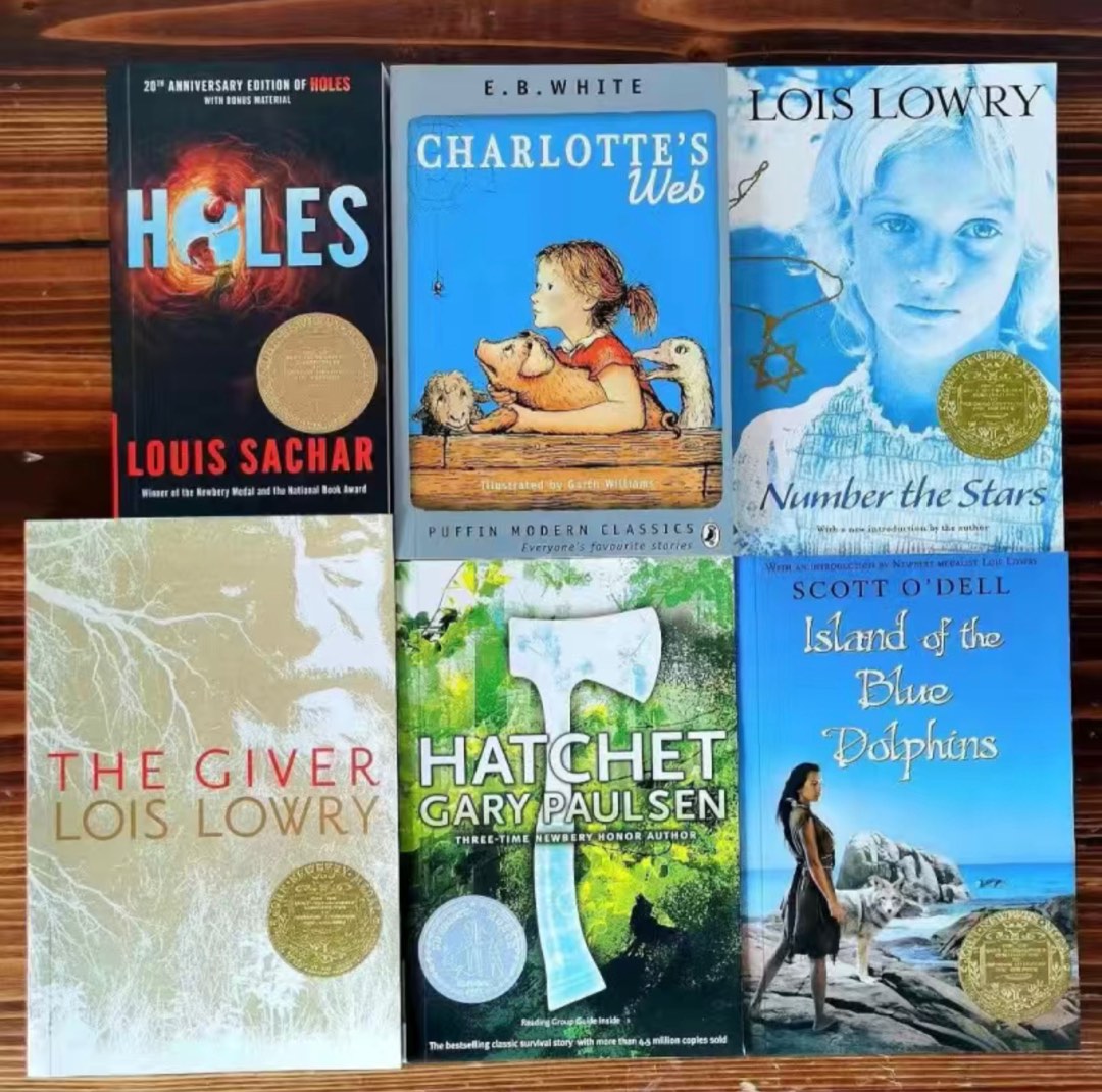 Newbery winner well selected 6 book set, Hobbies & Toys, Books