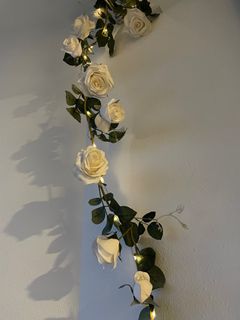 (Category: ) located in . Submitted by blueprincess (Listing ID 1253906331, Image 1). Description: .