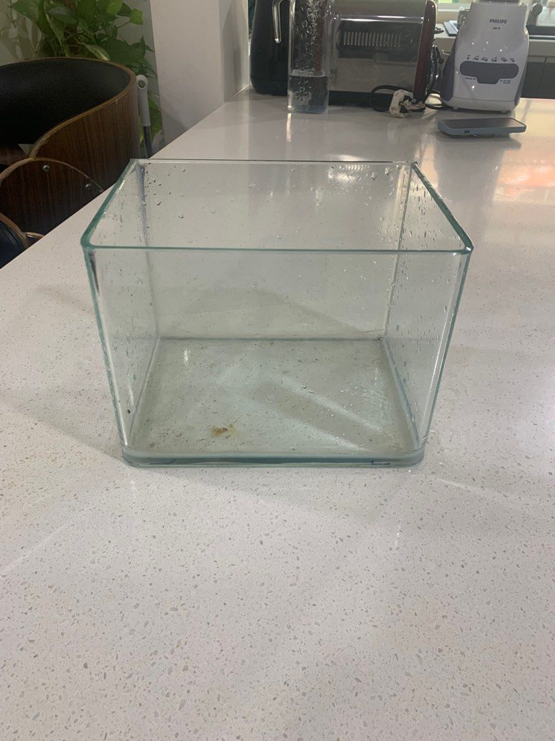 Aquarium glass for best sale sale