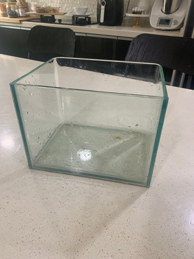 Aquarium glass new arrivals for sale