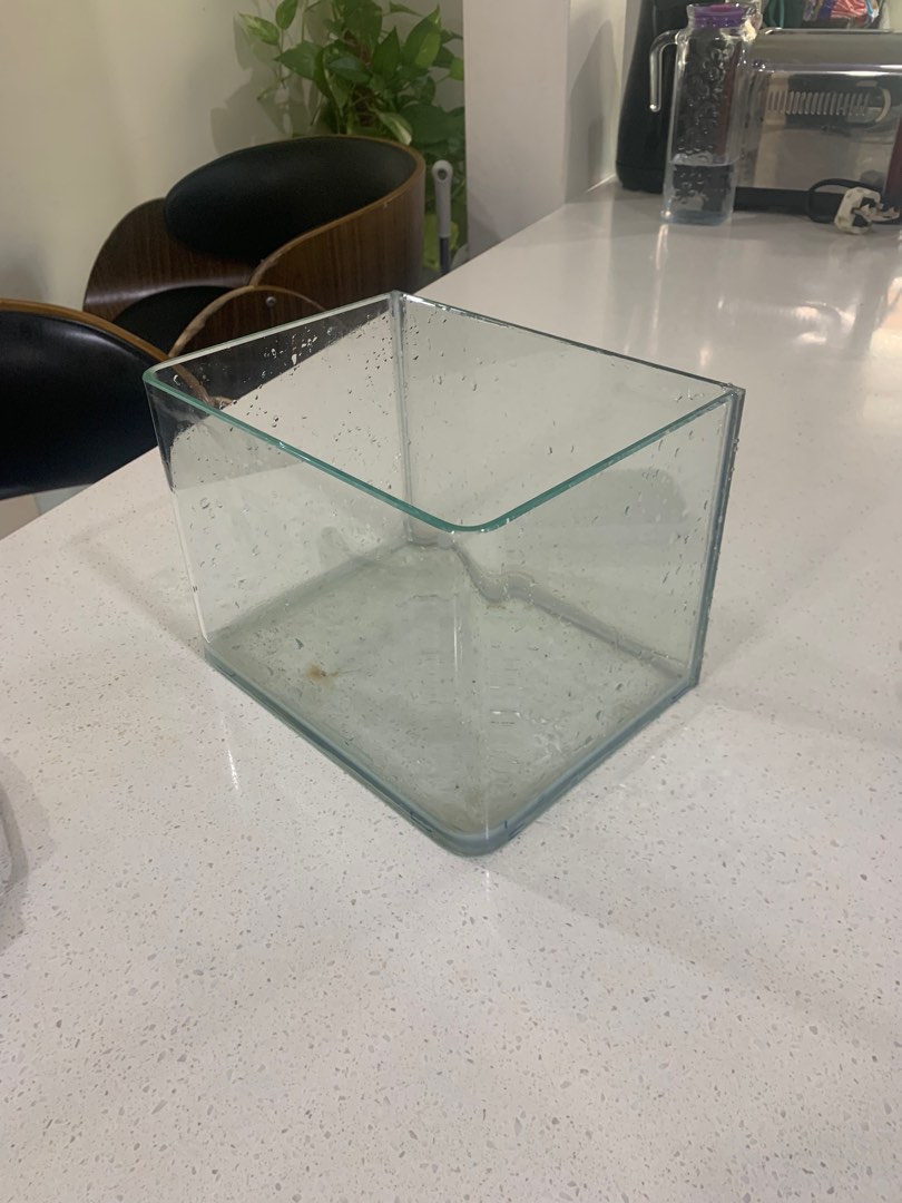 Aquarium glass for sale sale