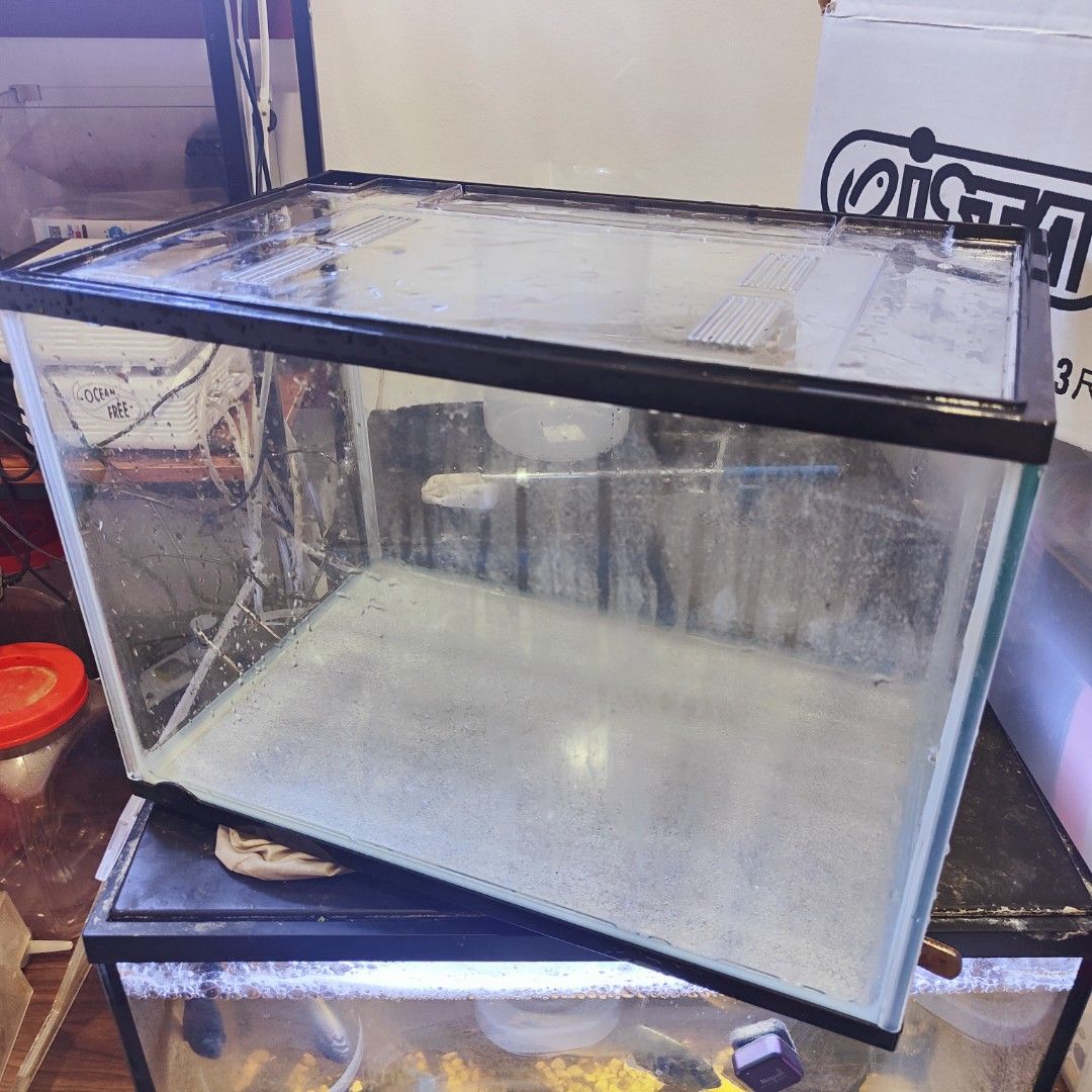 Craigslist fish cheap tank