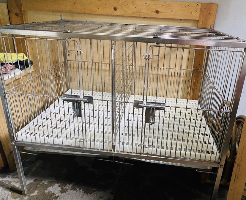 Collapsible dog discount cage cartimar