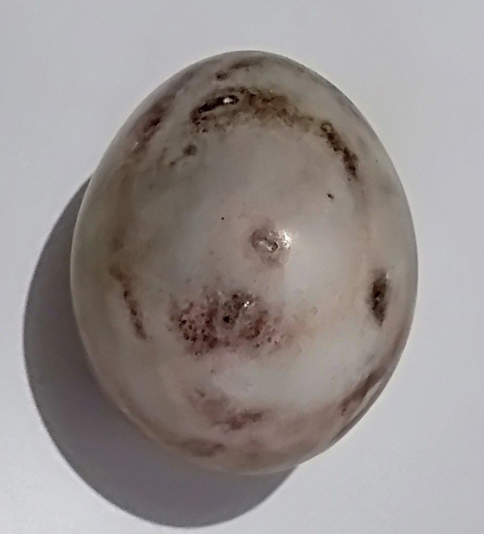 Vintage Decorative Italian Marble Egg (Category: Vintage Collectibles) located in Paranaque City. Submitted by carson2023 (Listing ID 1254079522, Image 3). Description: Authentic Vintage Italian Solid Marble Egg Probably purchased from Italy during the 70s or 80s Weight - 135 grams Size - Normal Chicken Egg Size Message me for Inquiries.