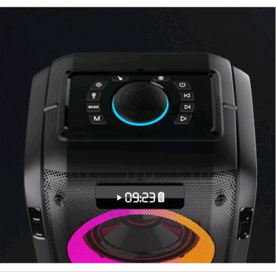 W-KING T9PRO POWERFUL BASS PA KARAOKE SPEAKER WITH DOUBLE WIRELESS MIC63212848053507114