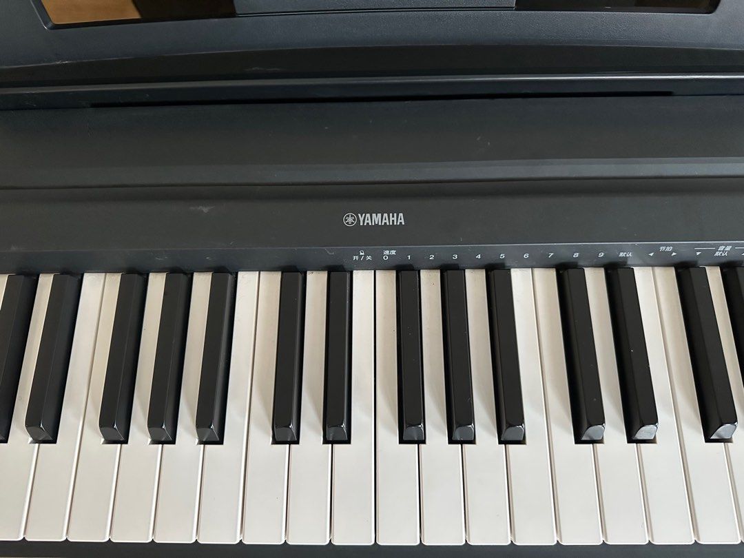 Yamaha digital piano P-48, Hobbies & Toys, Music & Media, Musical ...