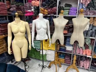 (Category: ) located in . Submitted by donnasese (Listing ID 1254187144, Image 1). Description: .