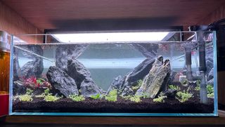 (Category: ) located in . Submitted by justennn_ (Listing ID 1254114783, Image 1). Description: .