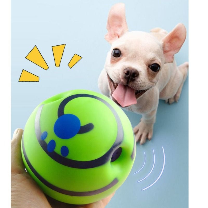 Waggle ball online for dogs
