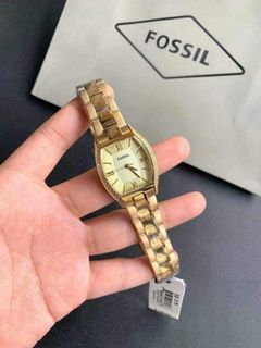 Fossil Wallace Series