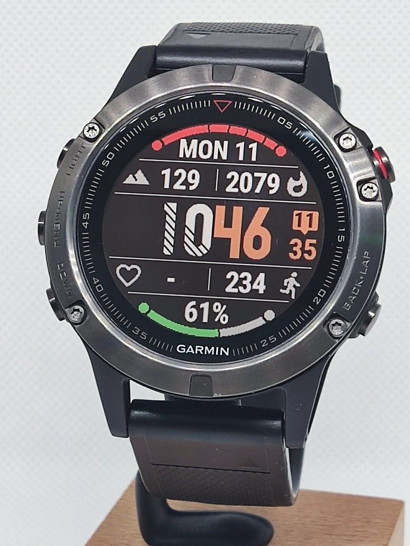Garmin fenix shop 5 pay