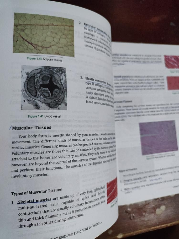 General Biology 1 for Senior High School, Hobbies & Toys, Books ...