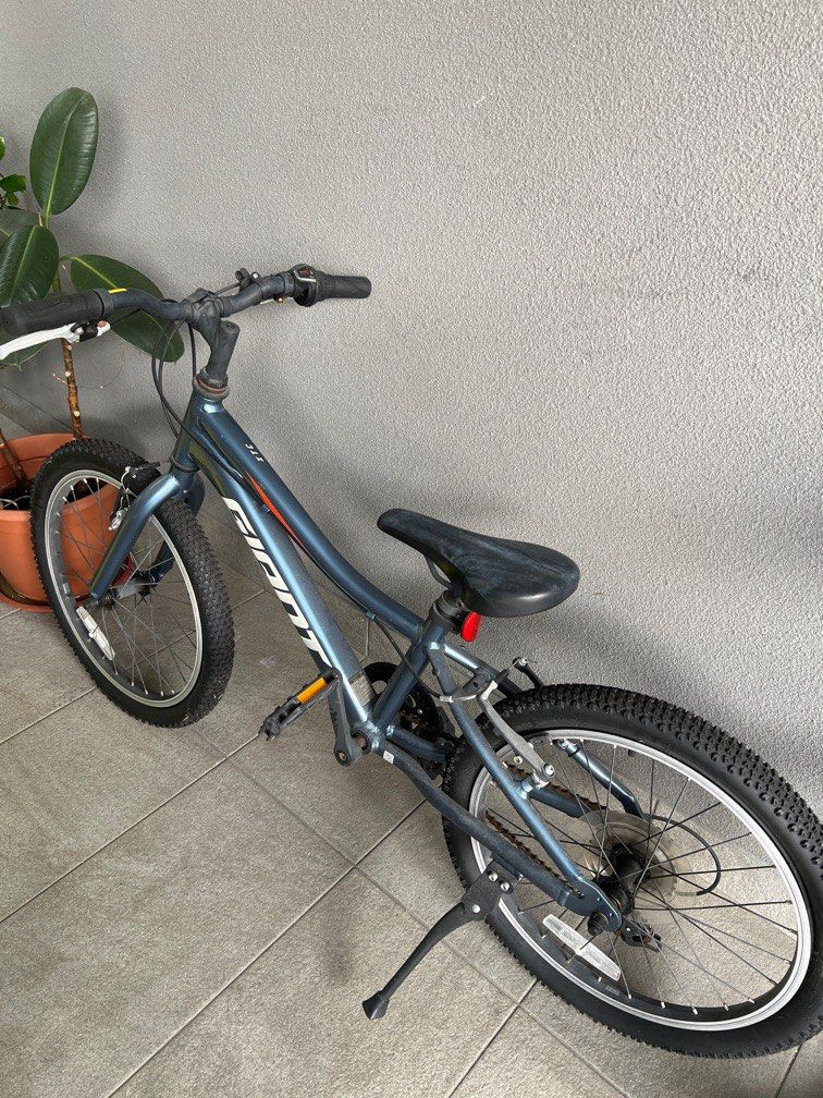 Giant xtc jr deals lite 20