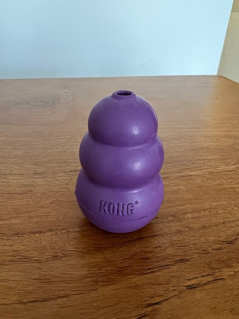 Kong senior medium shop